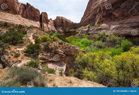 Grandstaff Hiking Formerly Negro Bill Canyon Trail Stock Photo - Image ...