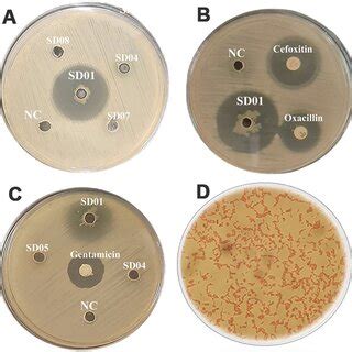 Image result for Well Diffusion Method