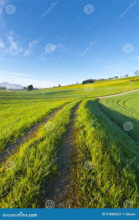 Agriculture in Switzerland stock image. Image of agritourism - 97886527