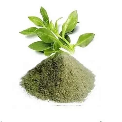 Phytochemicals Extract - Andrographolide Extract powder Wholesaler ...