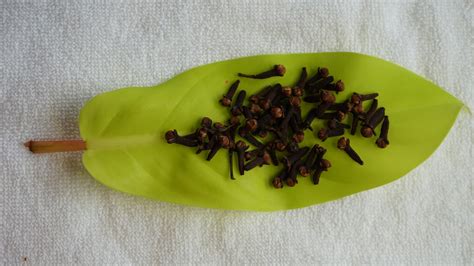 Wayanad Cloves - Buy Grambu/Cloves online at best price – Teamnature.in