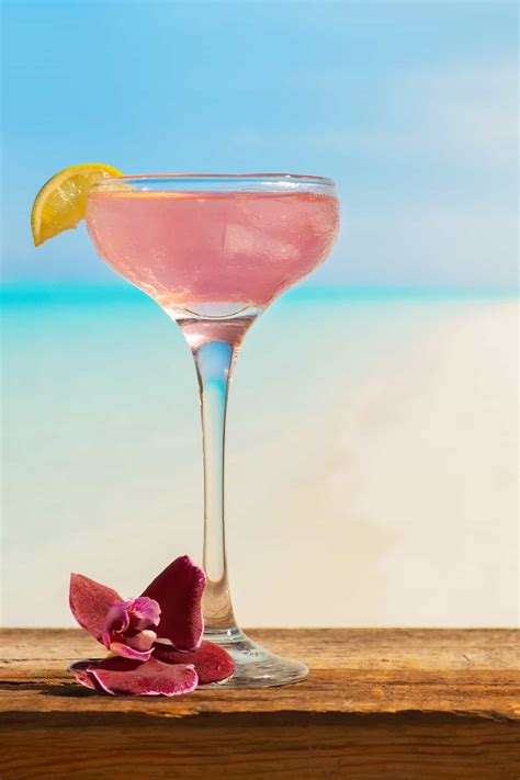 Pink Flamingo - HowdyKitchen