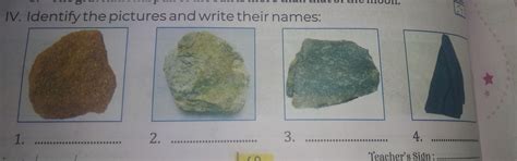 Identify the picture and write their names - Brainly.in