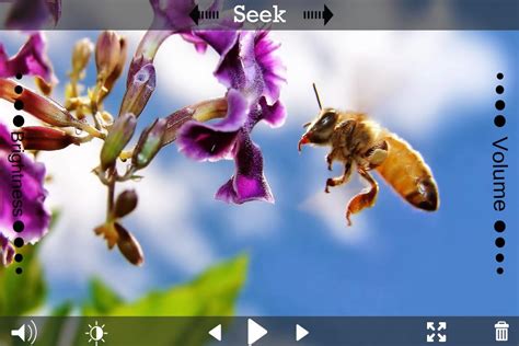 Image result for 3D Video Player