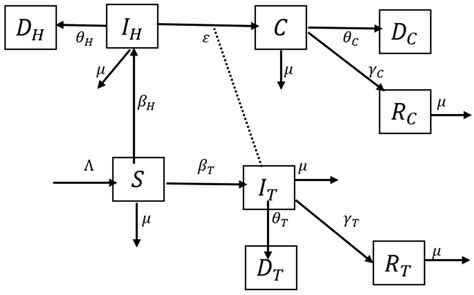 Modeling Transmission Dynamics of Tuberculosis–HIV Co-Infection in ...