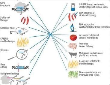 CRISPR Technology Explained 的图像结果