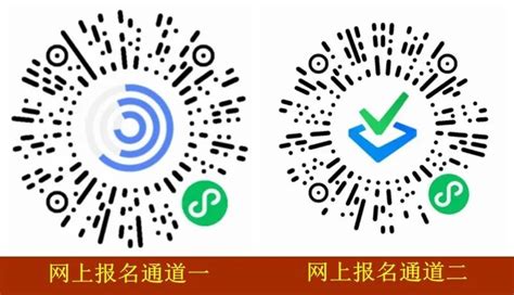 2023年 青岛第五十一中学小升初招生简章(附学区范围)_小升初网