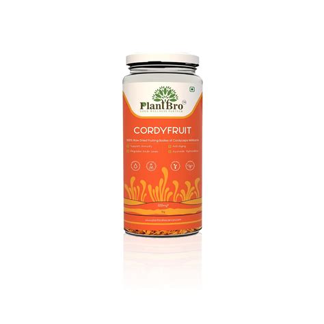 PlantBro CordyFruit, 100% Raw Cordyceps Militaris Fruit Bodies, No ...