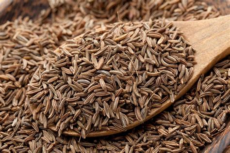 What Is Caraway Seed In Hindi | Storables