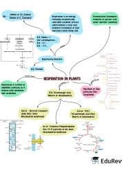 Mind Map: Respiration in Plants - Biology Class 11 - NEET PDF Download