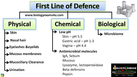 Image result for Human Defence Line Skin