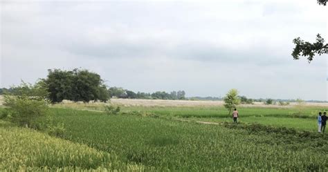 Should a drought in Bihar be declared? Experts say yes, govt says wait