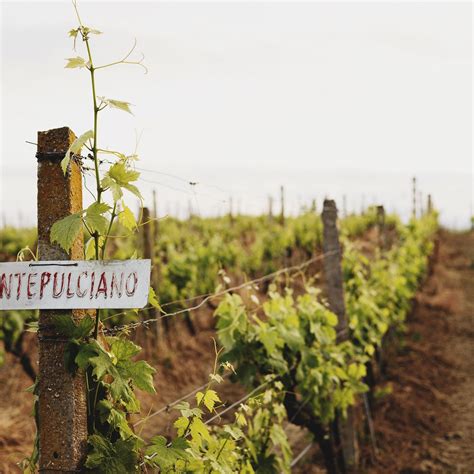 KANTINA GJERGJ KASTRIOTI SKENDERBEU DURRES (Updated 2026) All You Need ...