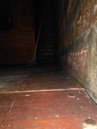 PUERTAS DEL SOL (Los Molles) - Campground Reviews & Photos - Tripadvisor