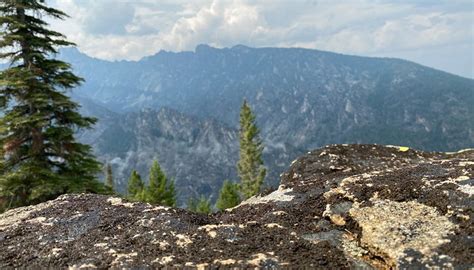 BITTERROOT NATIONAL FOREST - All You Need to Know BEFORE You Go 2026 ...
