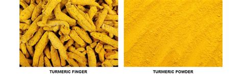 Premium Turmeric Fingers & Powder: Non-GMO, Indian Origin - Indian ...