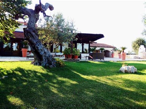 AGRITURISMO MASSERIA ALBEROTANZA B&B (Conversano, Province of Bari ...