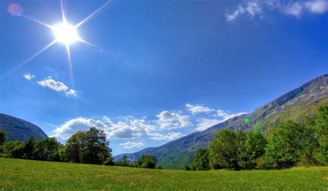 Guide To Sunny Days