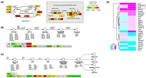 Differential Expression Genes of the Head Kidney and Spleen in ...