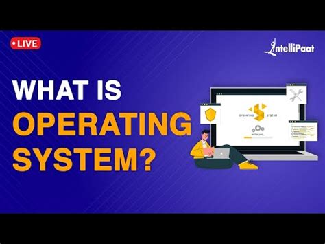 Image result for Difference Between an Algorithm and a Program