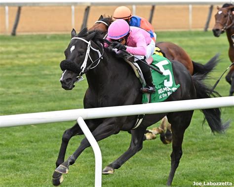 What Is Buck Dancing 的图像结果