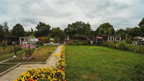 People in UK are scattering human ashes in community garden for a ...