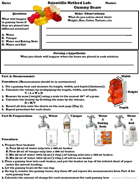 3 Scientific Method Activity Worksheets Gummy Bears Science Experiment ...