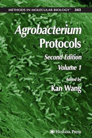 Agrobacterium Protocols: Volume I (Methods in Molecular Biology Book ...
