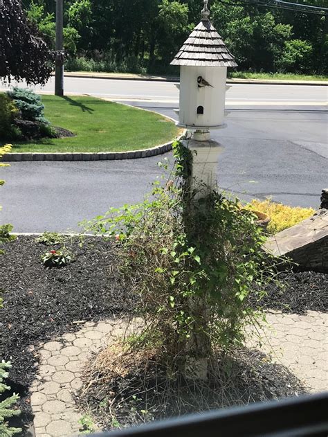 Vander May Wayne Colonial Funeral Home, Inc. - 567 Ratzer Rd, Wayne, NJ ...