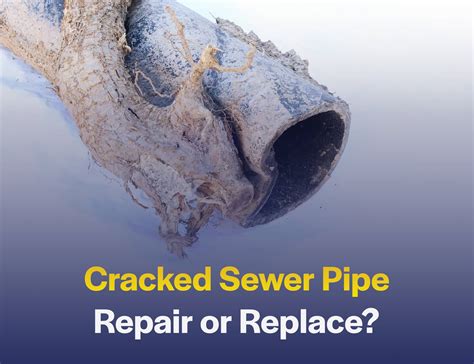 How To Fix Broken Sewer Pipe Under House at Willie Mixon blog