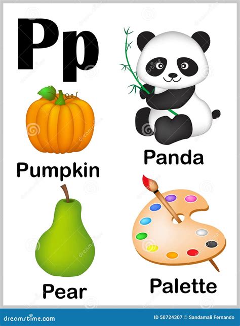 Alphabet letter P pictures stock vector. Illustration of book - 50724307