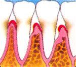 Welcome to Dr.Gupta's Dental Specialities Centre