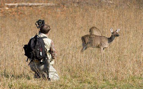 Kentucky Hunting Seasons 2025: Dates, License&Regulations