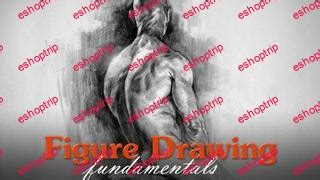 Image result for Proko Figure Drawing Course Free Download