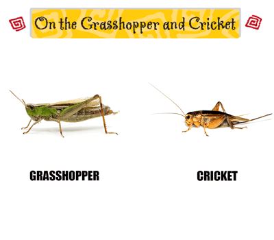 cbse ncert 8th class Chapter 8 On the Grasshopper and Cricket