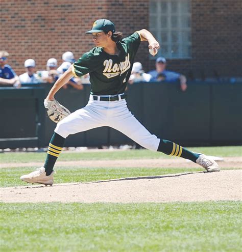 Grosse Pointe North baseball finishes as runner-up in state final