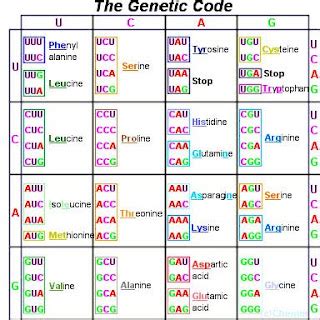 Image result for Genetic Code Videos