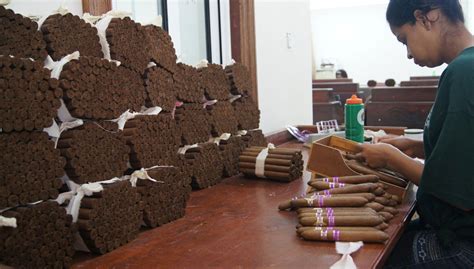 Visita a la fábrica de cigarros Graycliff Cigar Company, Nassau ...