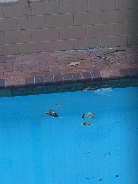 AMBASSADOR MOTOR INN (Brisbane) - Motel Reviews & Photos - Tripadvisor