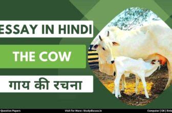 Proverbs in Hindi: लोकोक्तियाँ और उनके अर्थ 290+ उदाहरण