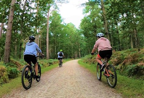 Cycling for Fun 的图像结果