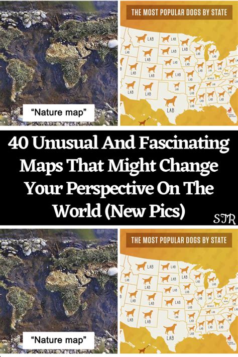 Unique World Map 的图像结果