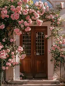 Ritz Farming® Climbing Rose Flower Seeds for Home and Kitchen Gardening ...