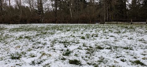 Willis Tucker Park Loop, Washington - 79 Reviews, Map | AllTrails