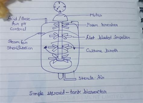 Draw neat labelled diagram of simple stirred tank bioreactor. - Brainly.in