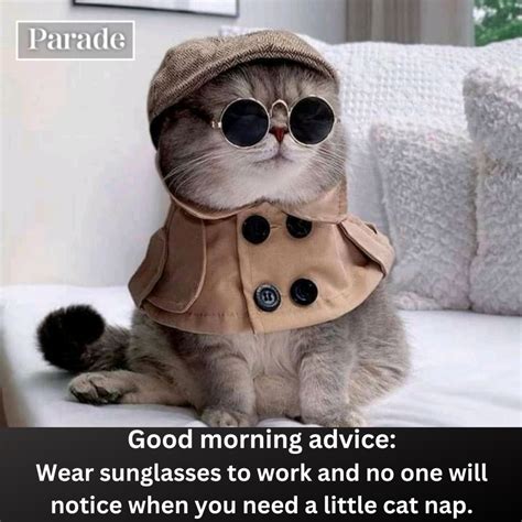 35 Funny Good Morning Memes - Parade