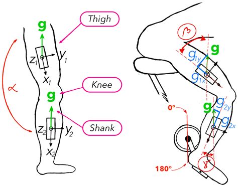 Inertial Measurement Units’ Reliability for Measuring Knee Joint Angle during Road Cycling
