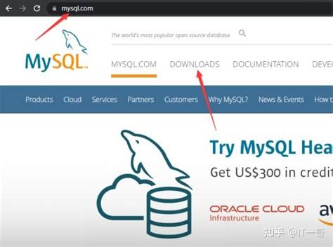 MySQL 12 的图像结果