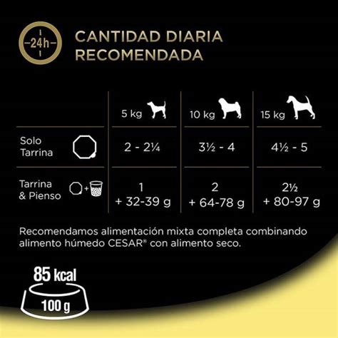 Tarrina Cesar Pollo y Arroz Senior +10 | 150 gr.