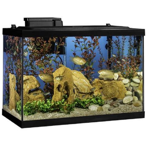 Best 20 Gallon Fish Tank Starter Kit | 2026